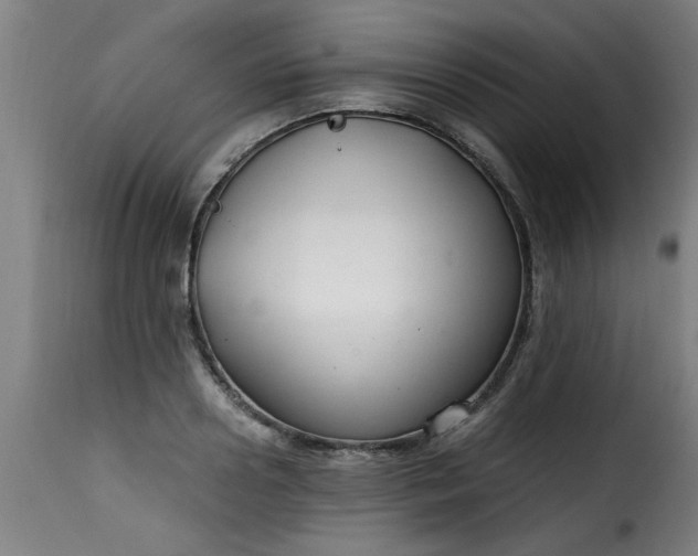 X0000115480938200911201836