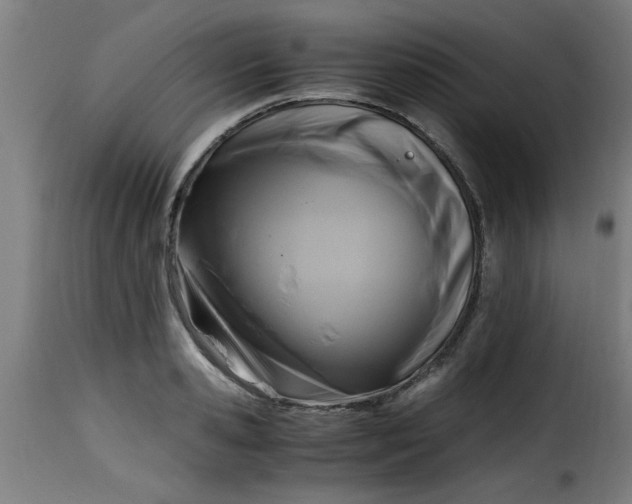 X0000115480941200911201837