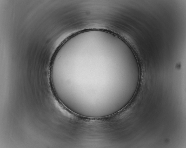 X0000115480942200911201837