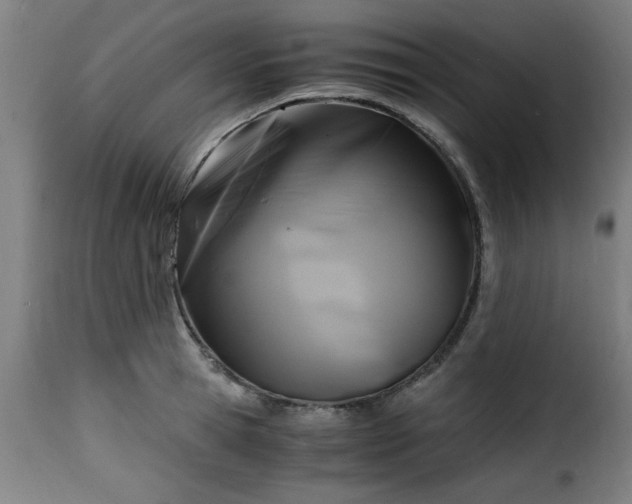 X0000115480945200911201837