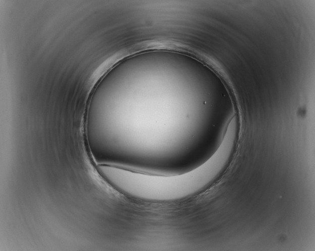 X0000115480946200911201837