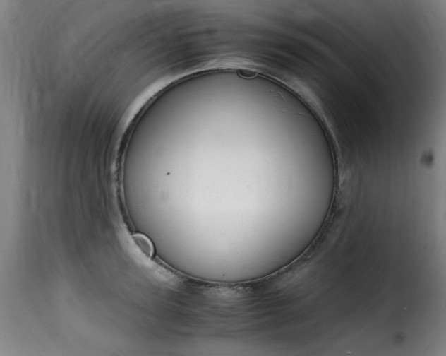 X0000115480947200911201837