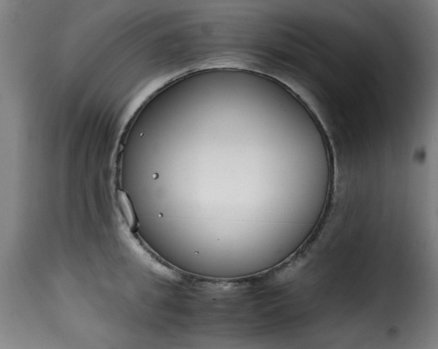 X0000115480949200911201837