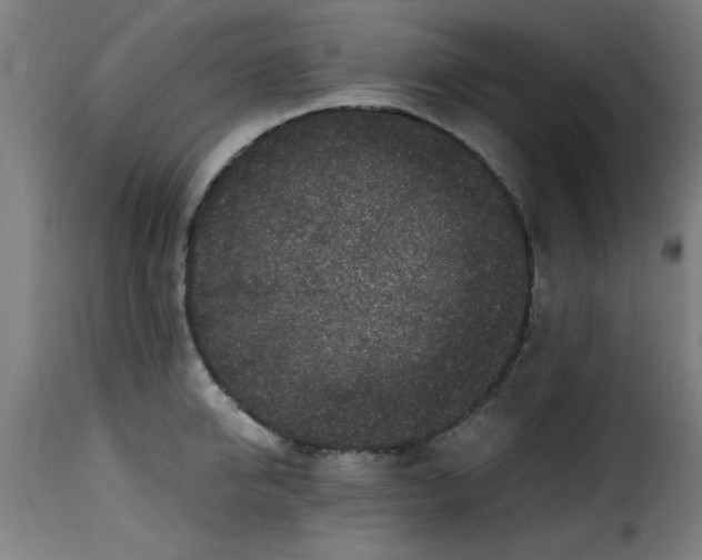 X0000115480950200911201837