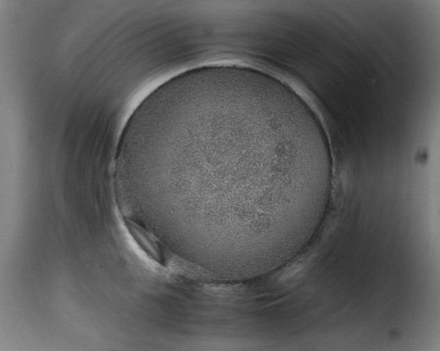 X0000115480951200911201837