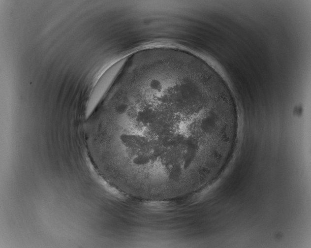 X0000115480953200911201837