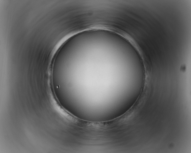 X0000115480955200911201837