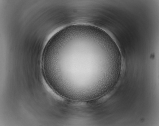 X0000115480957200911201837