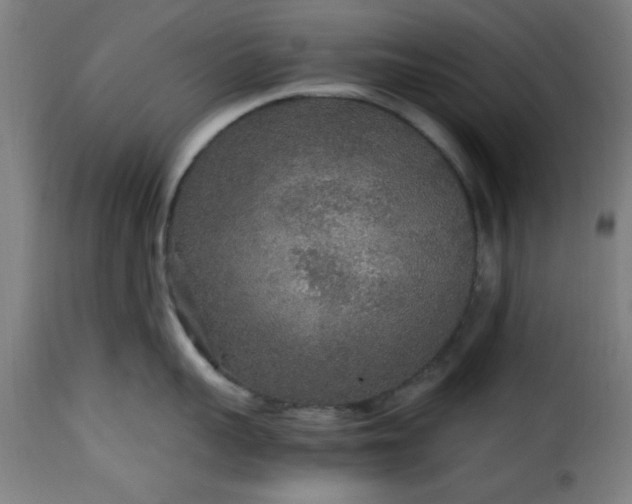 X0000115480959200911201837