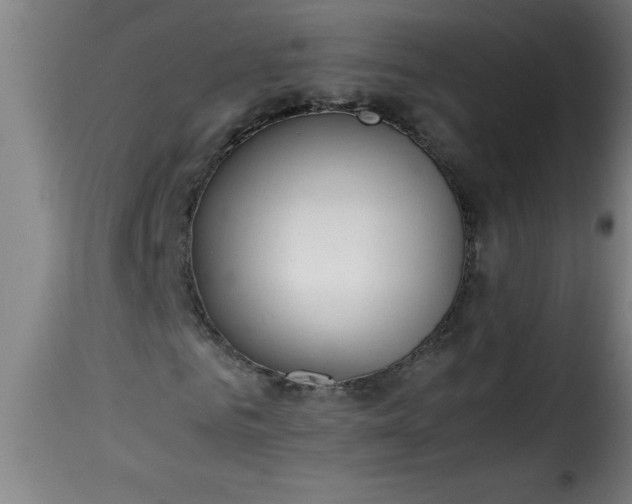 X0000115480961200911201836