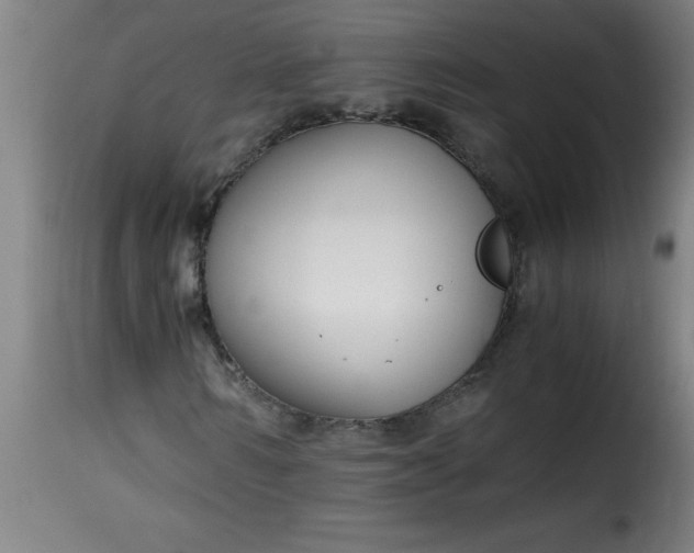 X0000115480962200911201836