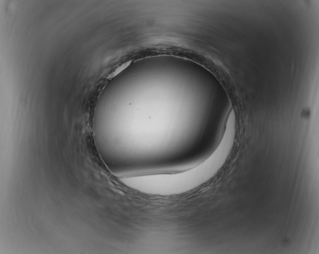 X0000115480965200911201836