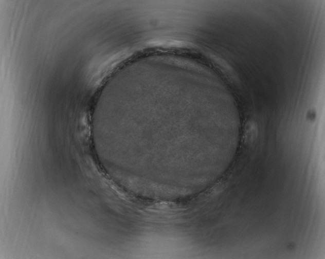 X0000115480966200911201836