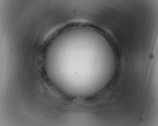 X0000115480967200911201836