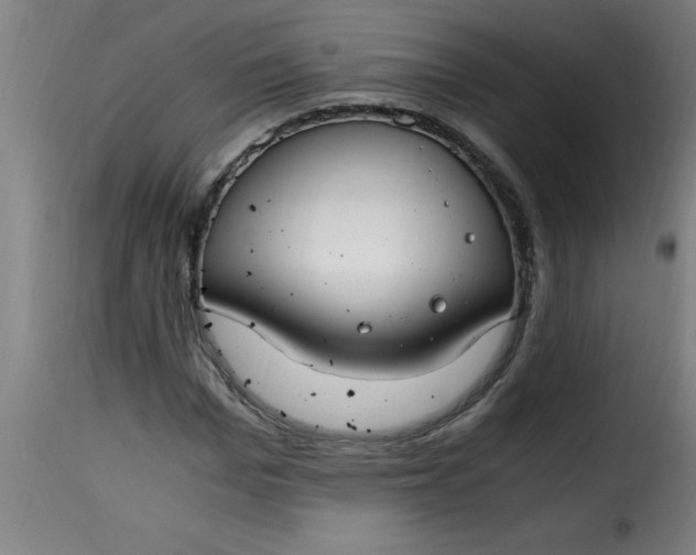 X0000115480969200911201836