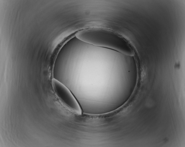 X0000115480973200911201836