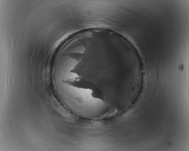 X0000115480975200911201836