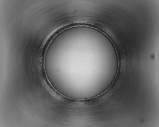 X0000115480976200911201836