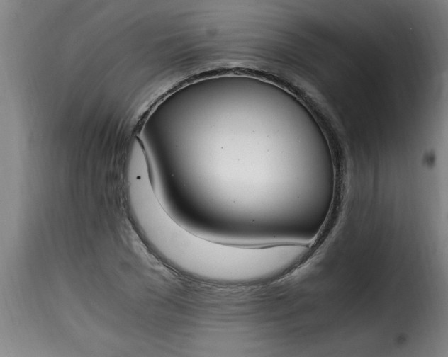 X0000115480977200911201836