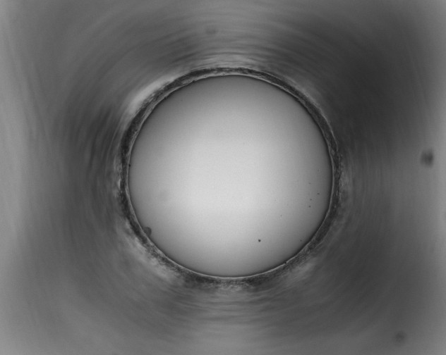 X0000115480979200911201836