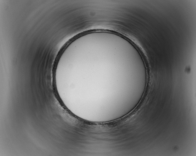 X0000115480980200911201836