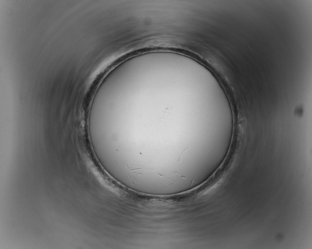 X0000115480981200911201836