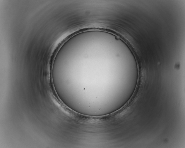 X0000115480982200911201836