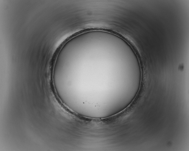 X0000115480983200911201836