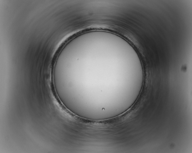 X0000115480984200911201836