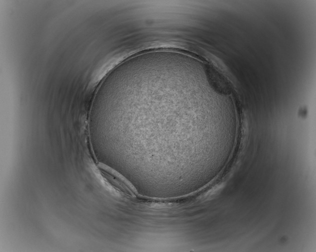 X0000115480985200911201836