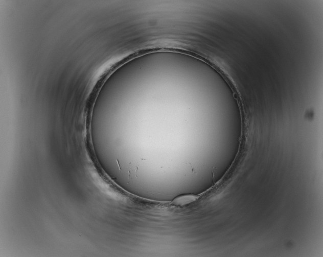 X0000115480987200911201836