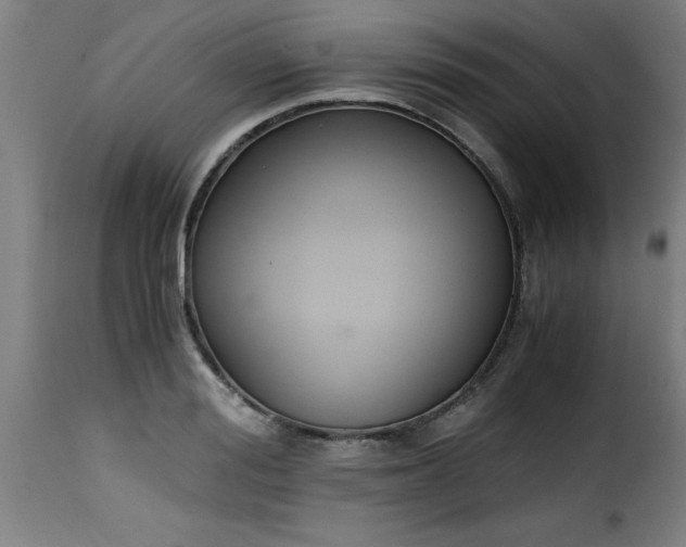 X0000115480988200911201836