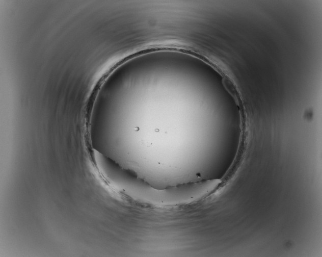 X0000115480989200911201836