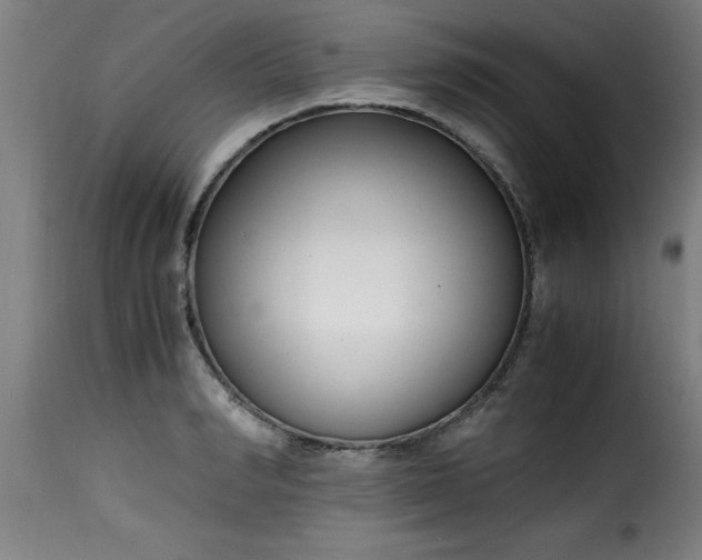 X0000115480990200911201836