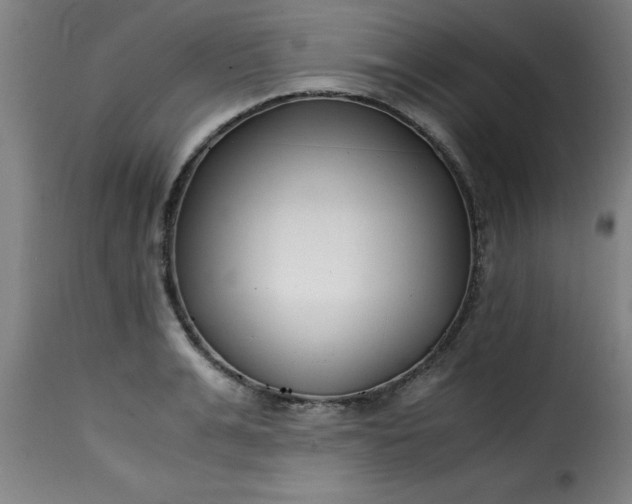 X0000115480991200911201836