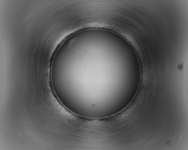 X0000115480992200911201836