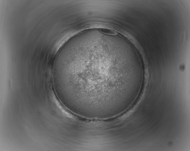 X0000115480993200911201836