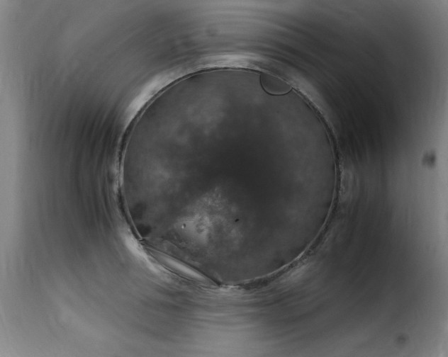 X0000115480994200911201836