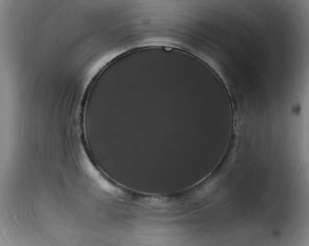 X0000115480995200911201836