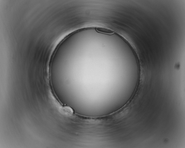 X0000115480996200911201836