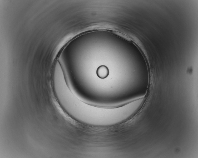 X0000115480997200911201836