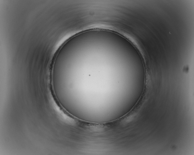 X0000115480999200911201836