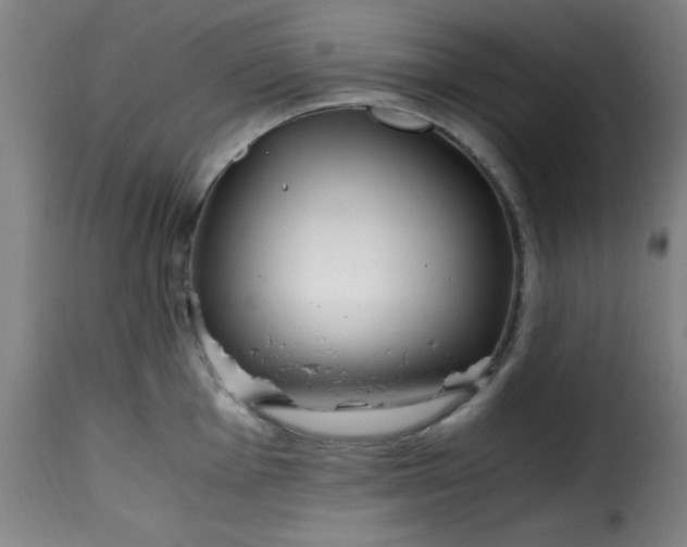 X0000115481001200911201836