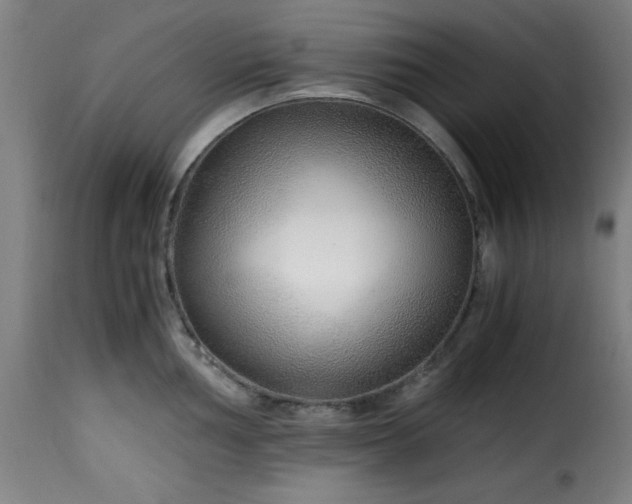 X0000115481002200911201836