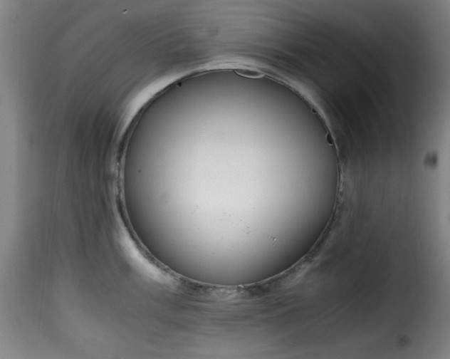 X0000115481003200911201835