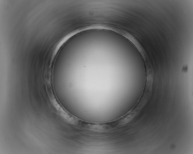 X0000115481004200911201835