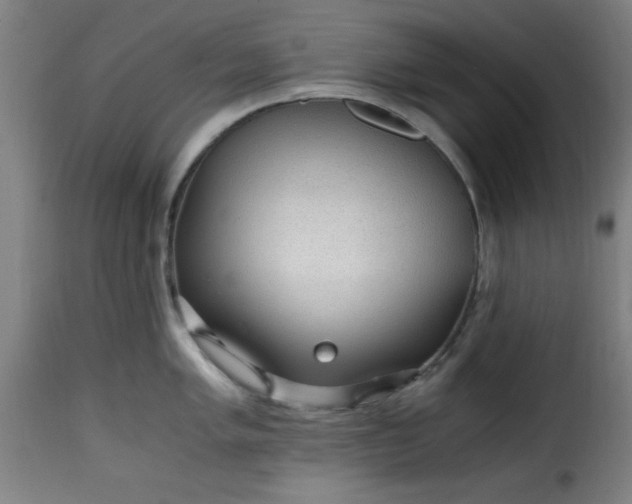 X0000115481005200911201835