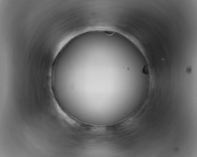 X0000115481006200911201835