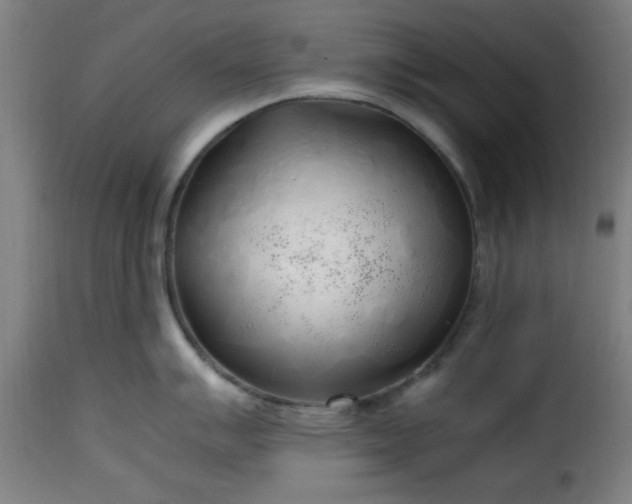 X0000115481007200911201835