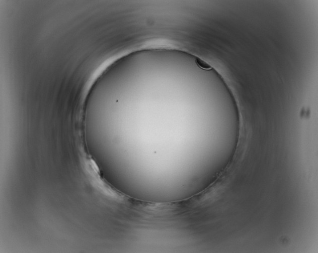 X0000115481008200911201835